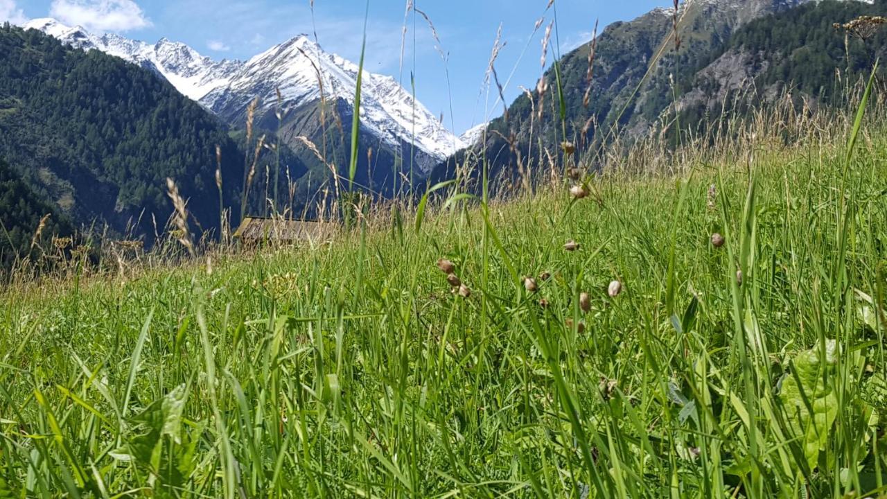 Virgentaler Alp Villa Prägraten Buitenkant foto