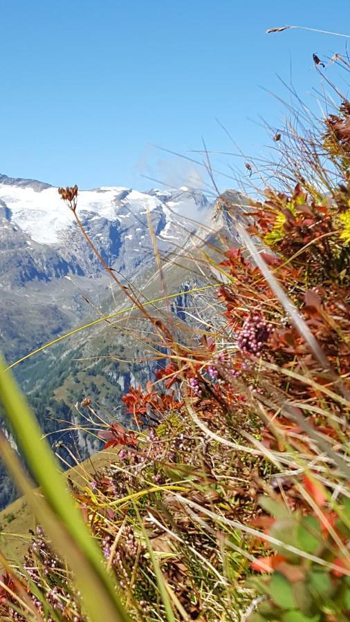 Virgentaler Alp Villa Prägraten Buitenkant foto